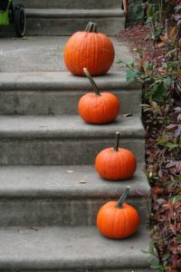 Free and Inexpensive Fall Decorating