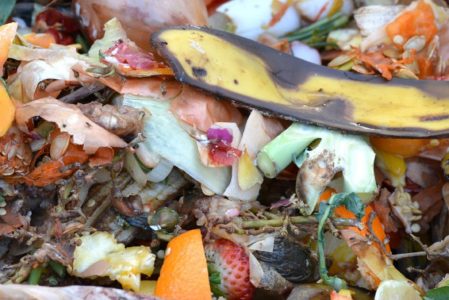 How to Make Your Own Compost