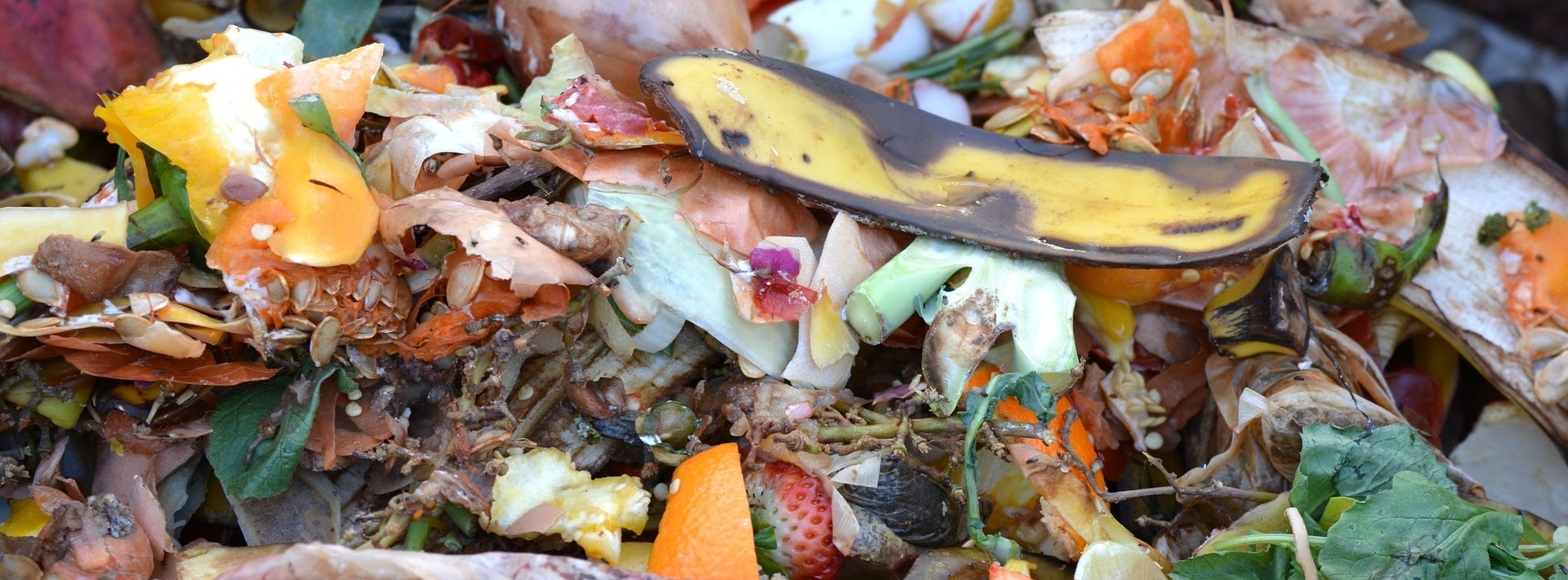 How to Make Your Own Compost