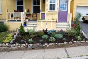 grow food in your front yard