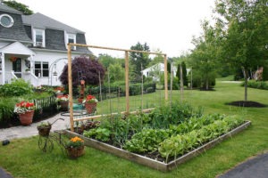 grow food in your front yard