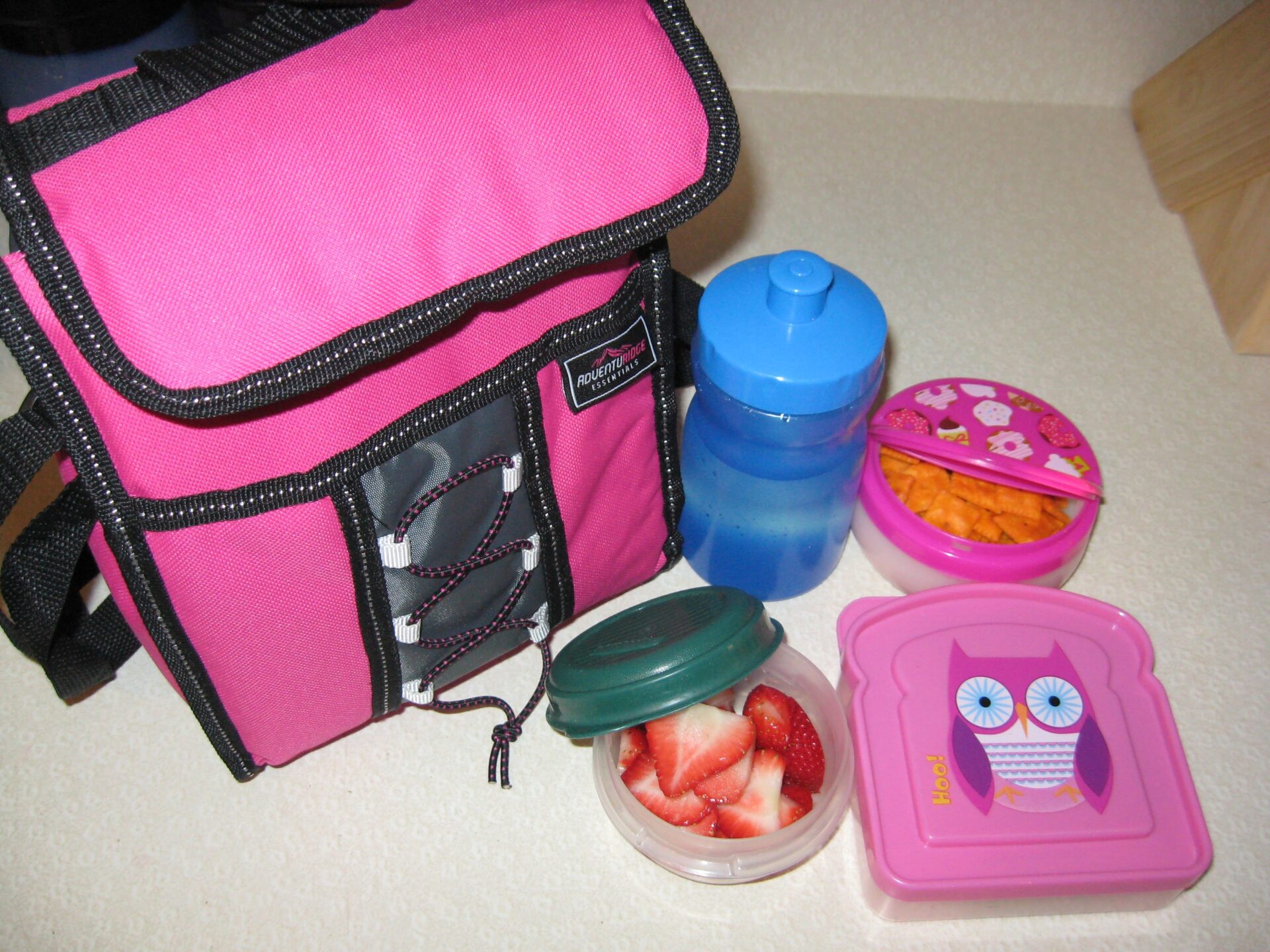 Back to School Lunch Packing Essentials