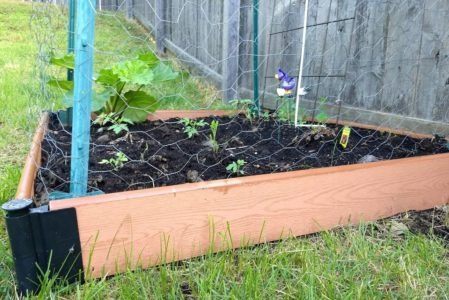 Benefits of Raised Garden Beds