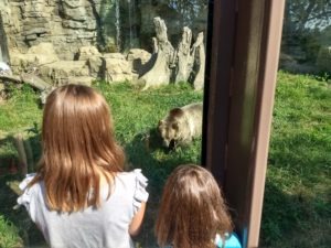 st. louis zoo with kids